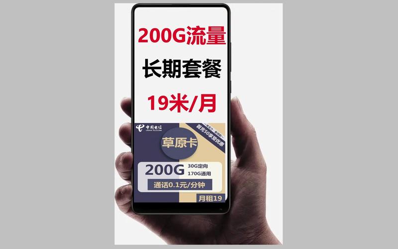 流量卡锤子长期套餐19月租含200g流量电信流量卡联通流量卡移动