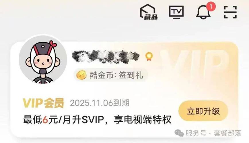 2025年春节有哪些良心好用的大流量卡套餐推荐