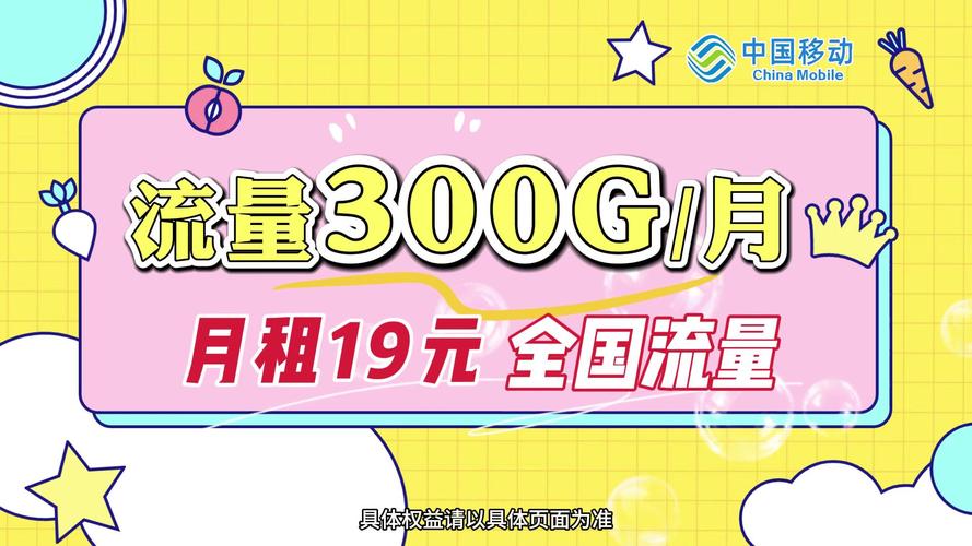 300g流量不卡顿月租仅需19元全国通用限时领取
