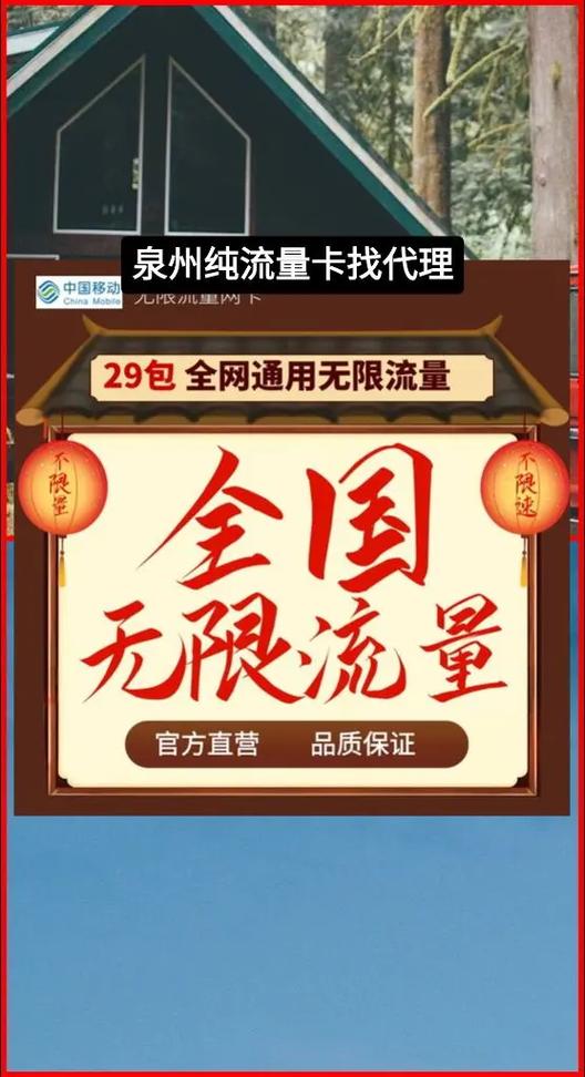 19元100g纯流量卡免费申请