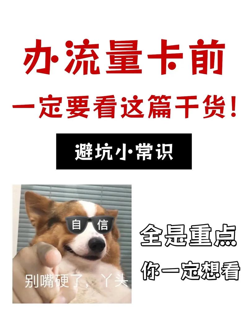 避坑指南流量卡选择全攻略避坑指南流量卡选择全