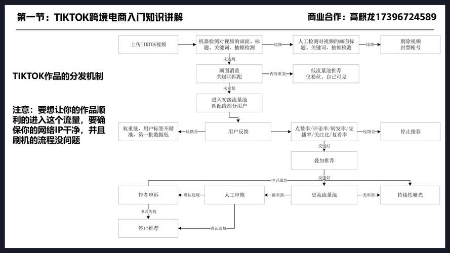 tiktok零基础入门