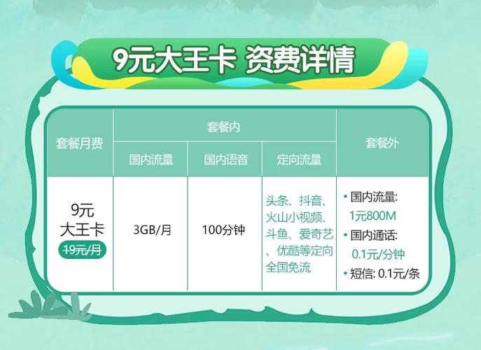 电信大王卡怎么办理