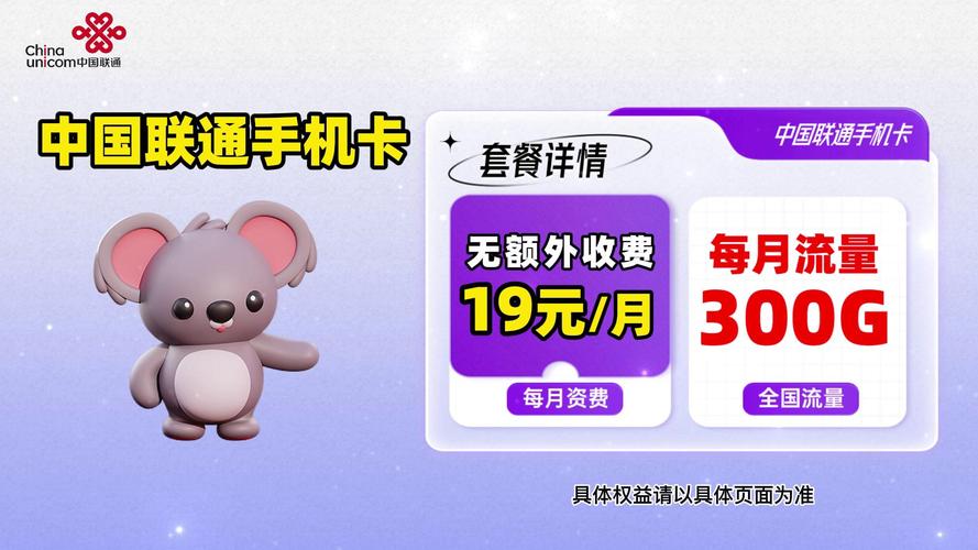 19元流量风暴300g月享超值流量网络生活新升级