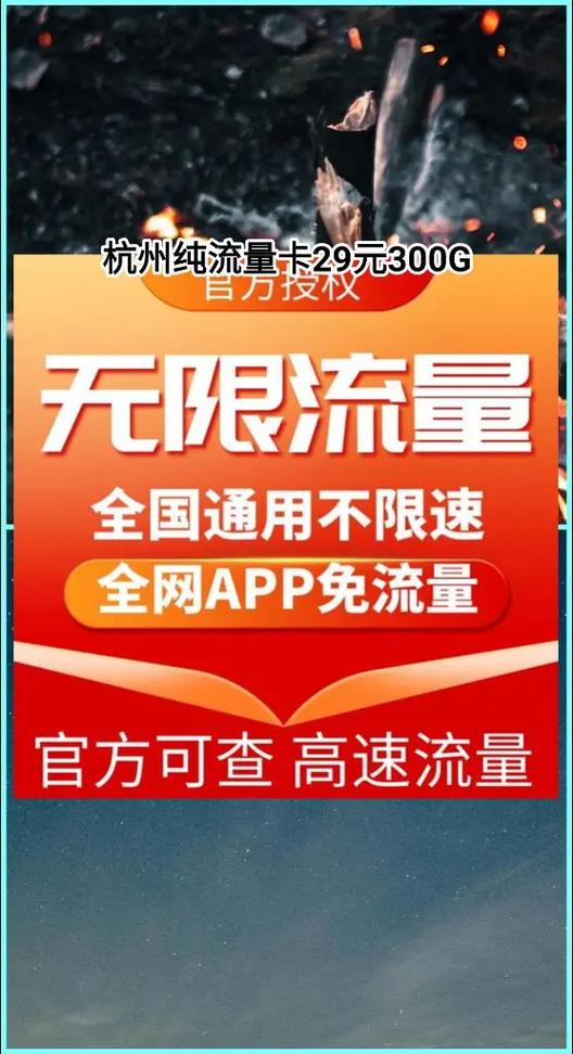 杭州纯流量卡29元300g199