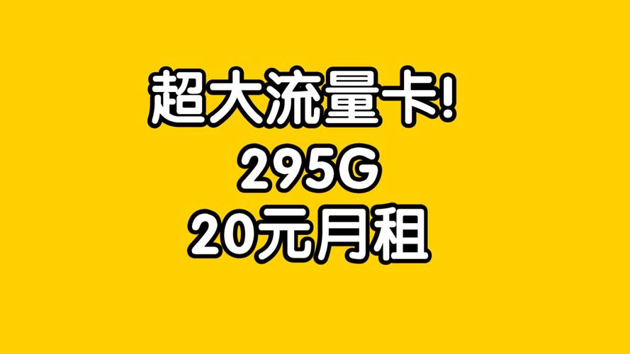 20元100g流量卡