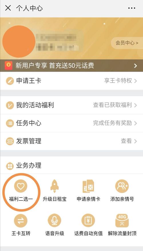 最近办了张大王卡查不出赠送的一个g怎么回事
