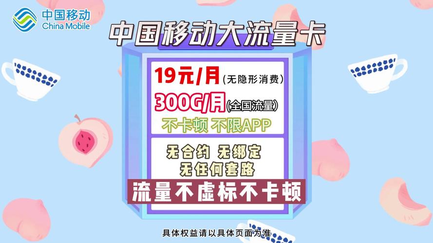 19元月租套餐每月300g高速流量在线领取最快当日送达