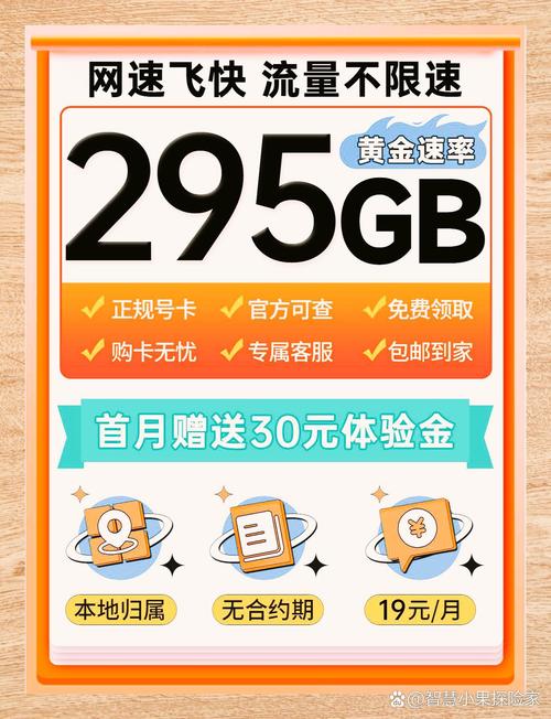 19元畅享295g流量卡长期无忧上网每一天
