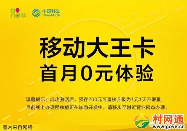 深圳大王卡办理