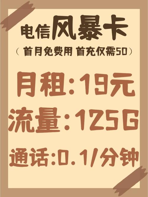 19元两年月租都是19元125g电信大流量卡