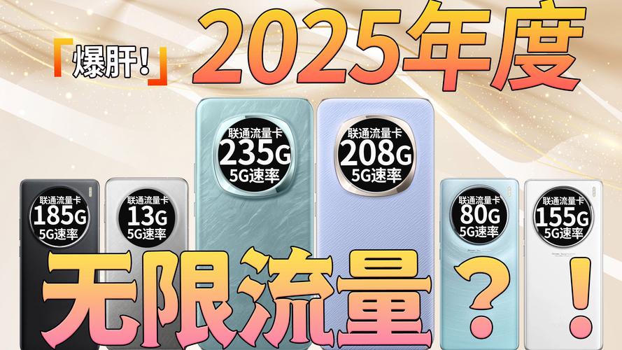 2025开年流量卡推荐 2025流量卡推荐 大流量卡申请办理 骑士卡骑手卡
