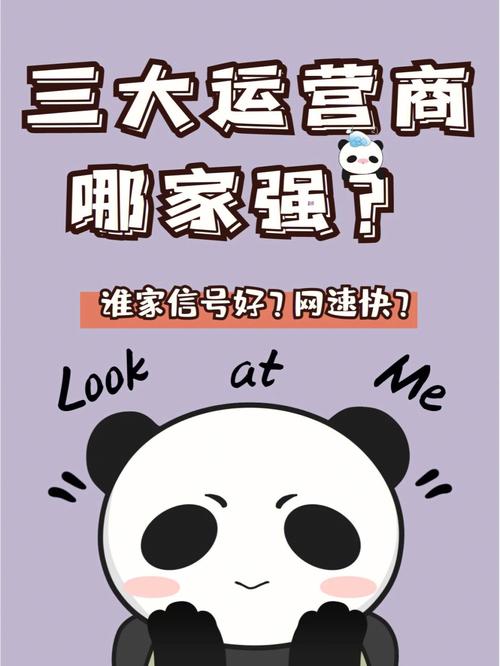 流量卡揭秘三大运营商哪家强