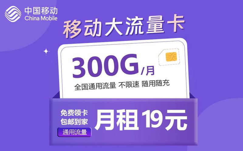 300g月流量卡 5g网速 所有app畅用 自主激活月租19元