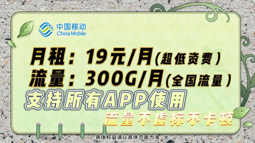 移动大流量卡来袭300g月最后1000张手慢无速抢
