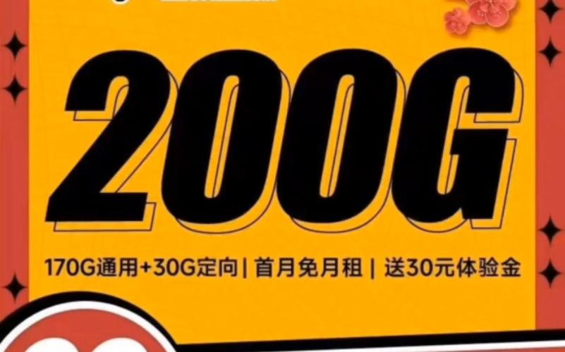就来试试电信寒梅卡吧29元200g流量首月免月租