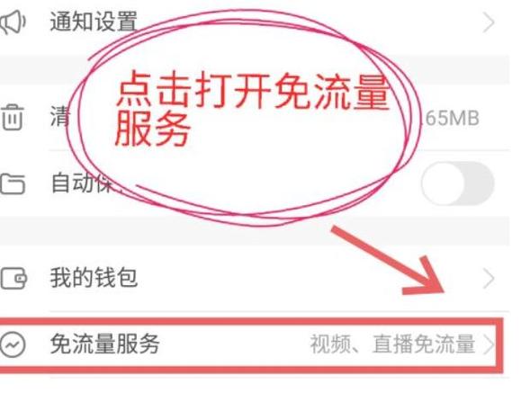 快手免流量怎么设置在哪里