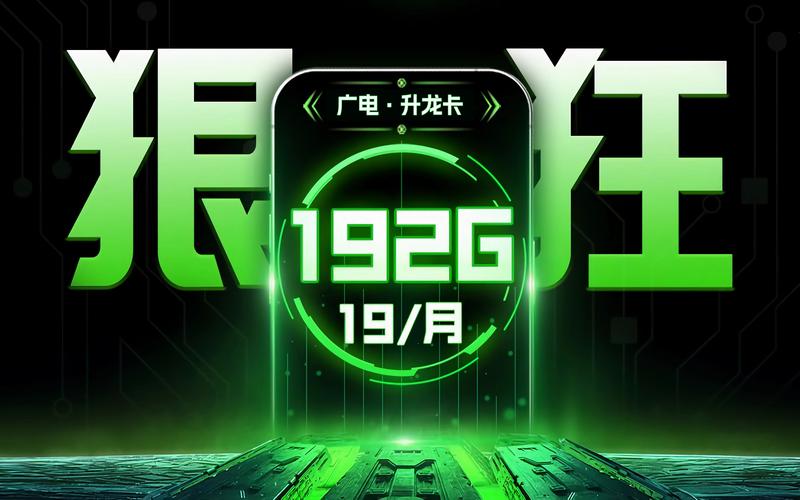 中国广电升龙卡19元192g全通用流量还支持结转