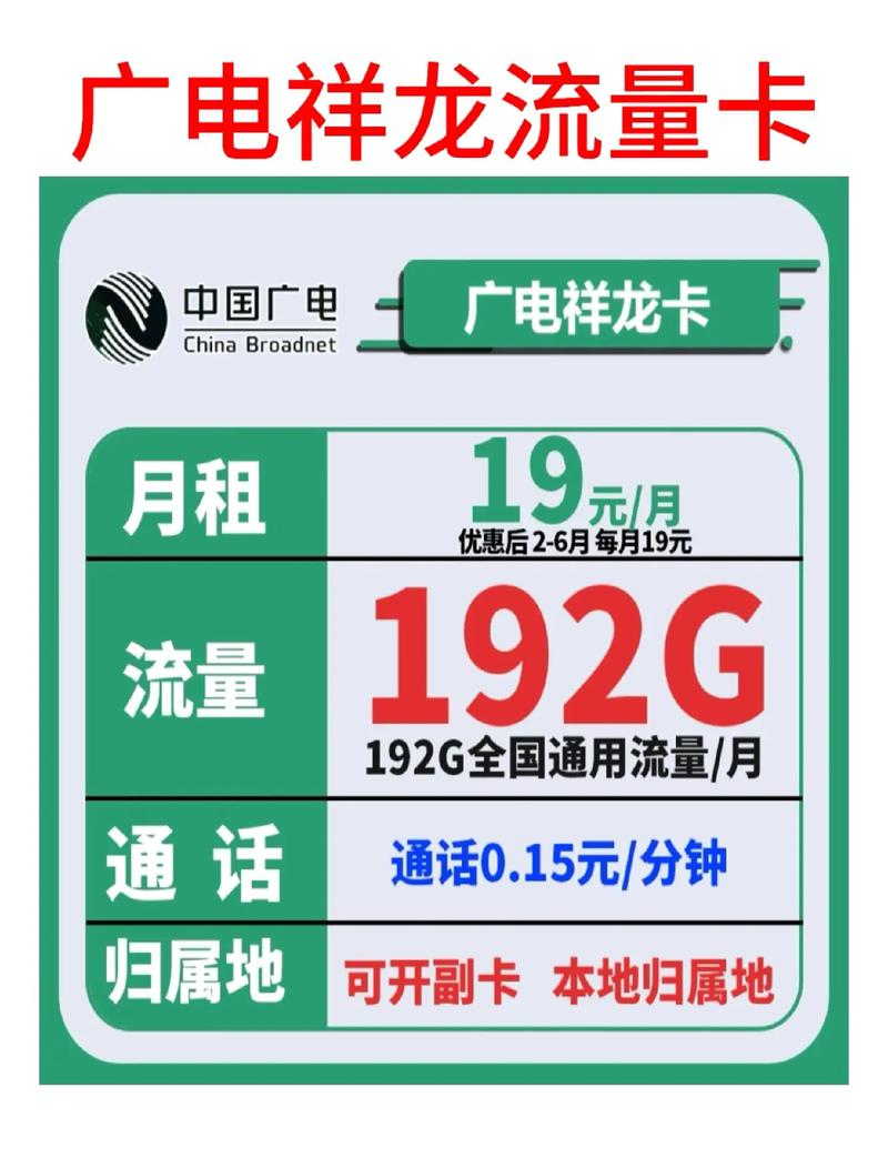 绝无仅有的19元192g宝藏卡我的通用祥龙卡真的太实用