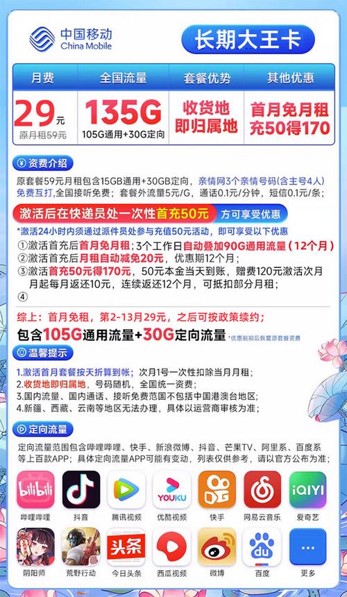 mobile 中国移动 大王卡 1年29元月租135g全国流量卡 3个亲情号免费