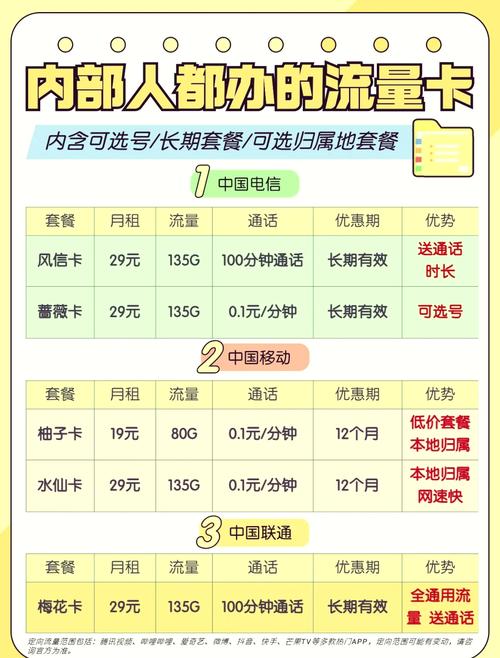 电信蔷薇卡 月租仅需29元就能享受135g的全国通用流量其中还包
