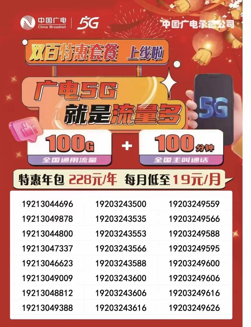 广电5g特惠套餐228元包年每月19元含每月100g全国通