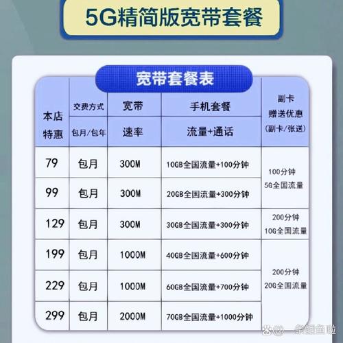 300m79元20g流量 200分钟 300m109元30g流量 500分钟