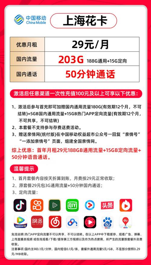 中国移动chinamobile上海花卡首年29元月租203g全国流量50分钟通话