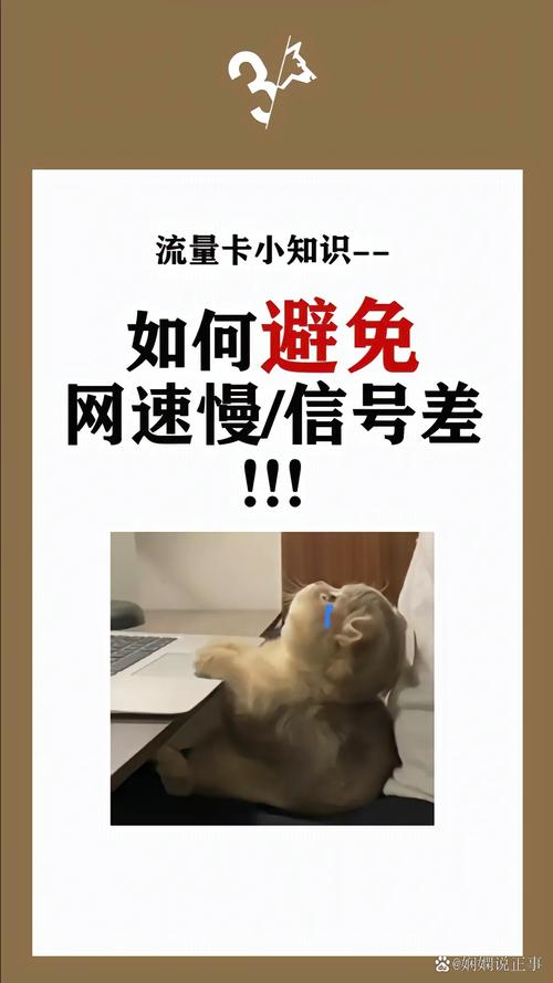 流量卡小知识为什么办的流量卡信号差网络慢点原因流量卡避坑指南