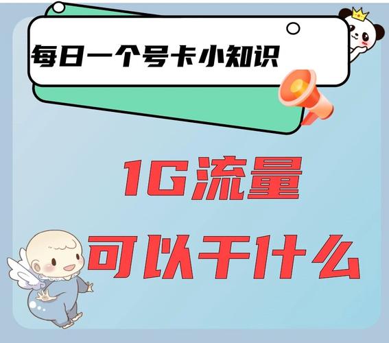 带你量化1g流量