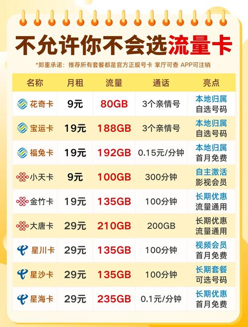 联通小天卡  月租9元 流量100gb通用流量 通话300分钟 亮点g5g