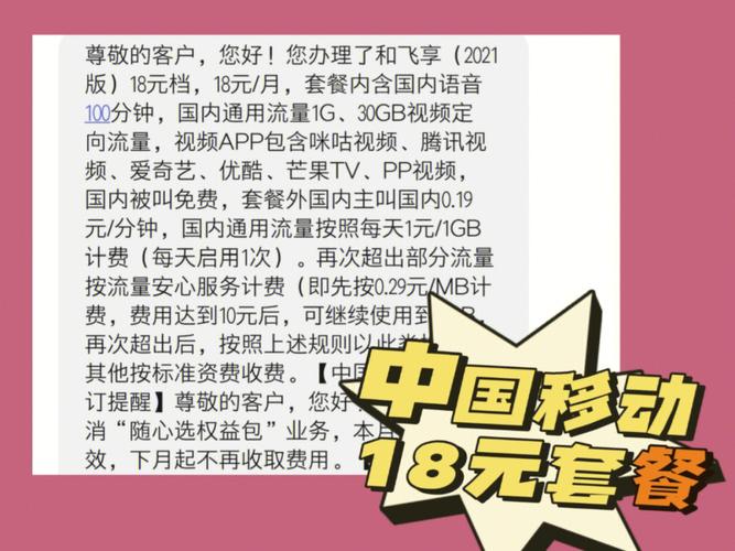 18元套餐10元10g06元6g完美
