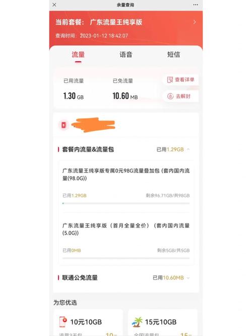 广东流量王纯享版103g