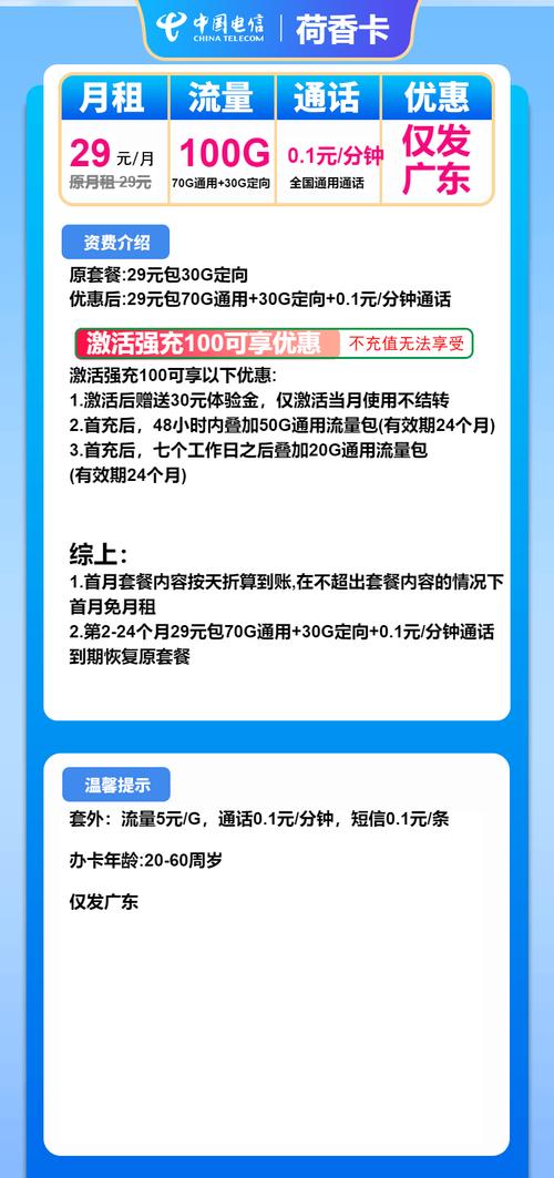 电信荷香卡29 元畅享 100g 流量