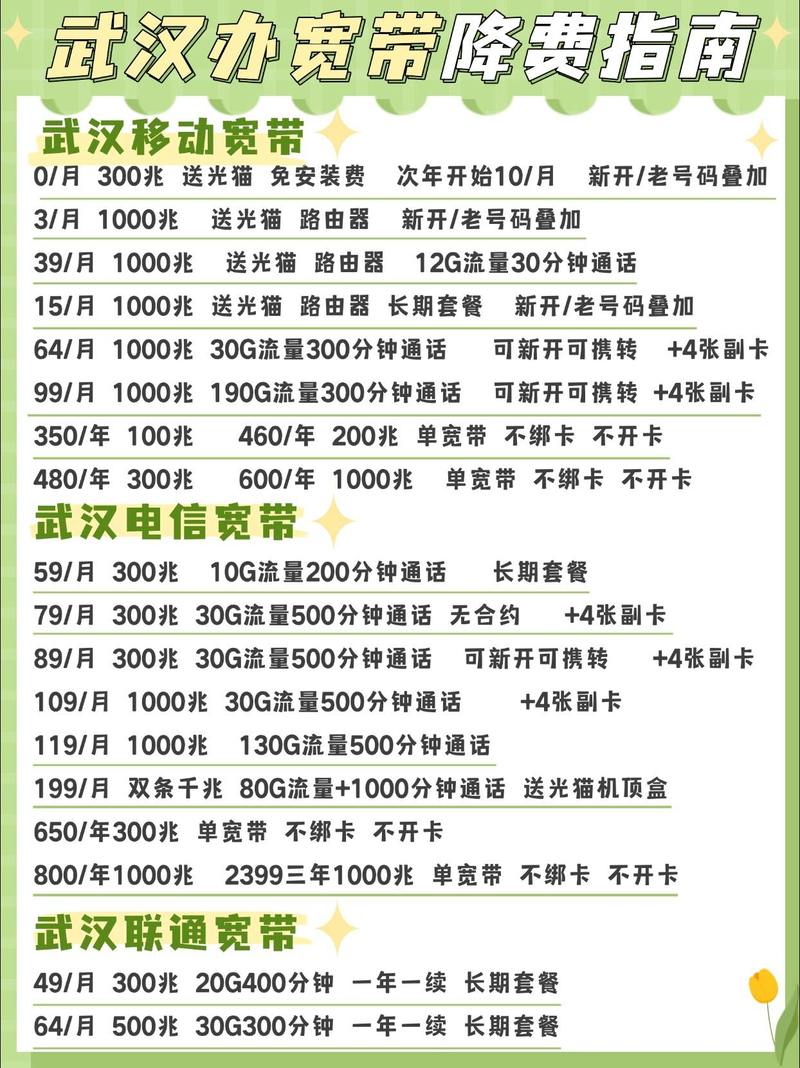 移动武汉电信武汉联通三大运营商均提供多种宽带办理方式涵盖带卡