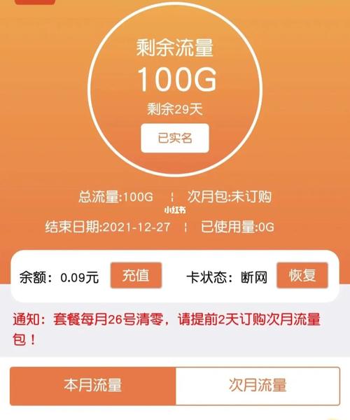 流量卡 朋友介绍的这个卡听说100g可以用很久我也试了一下用得