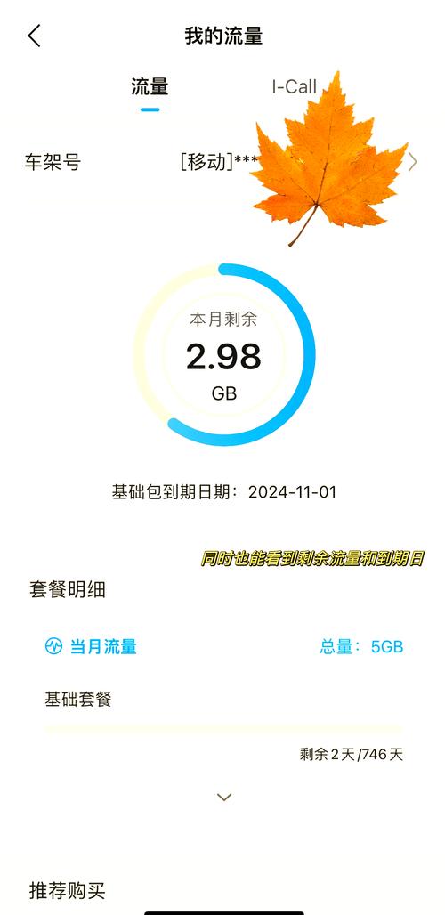 比亚迪车主必看流量查询指南