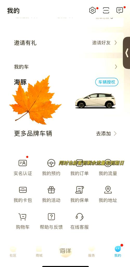 比亚迪车主必看流量查询指南