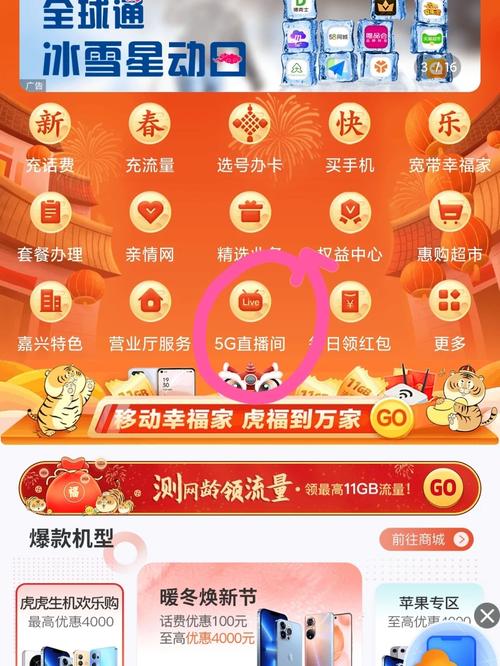 浙江移动1元10g流量包一个月可以买4次