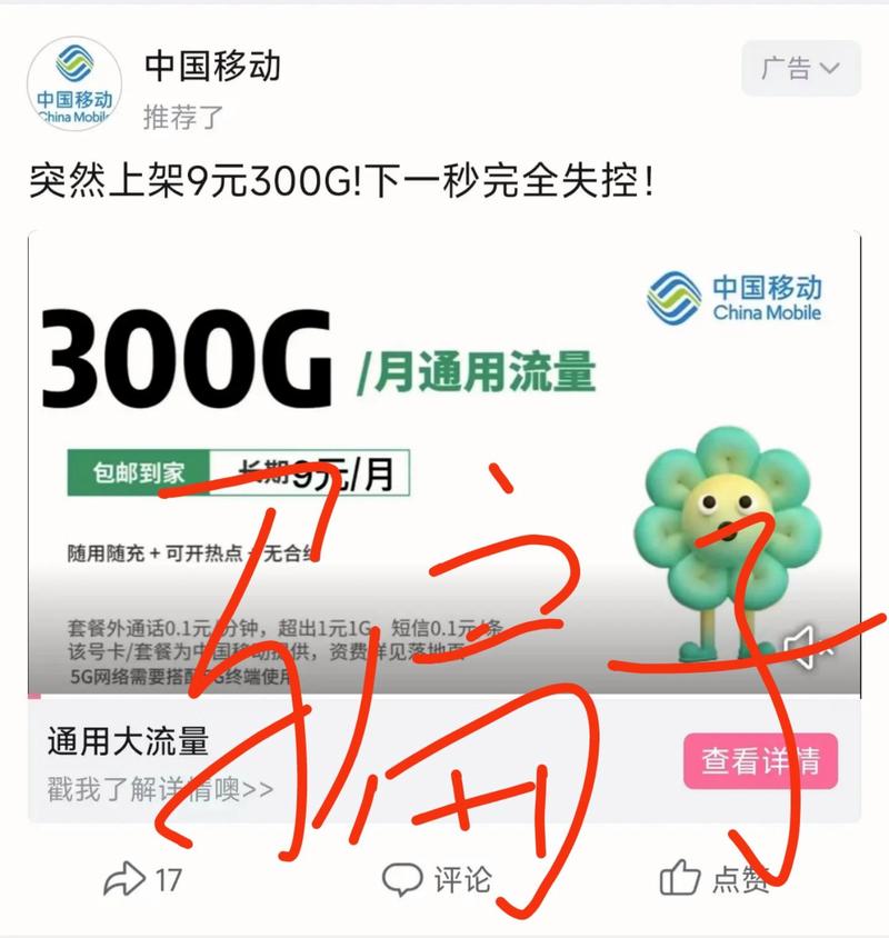 9元流量卡300g
