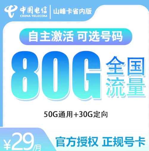 山东电信卡29元享80g