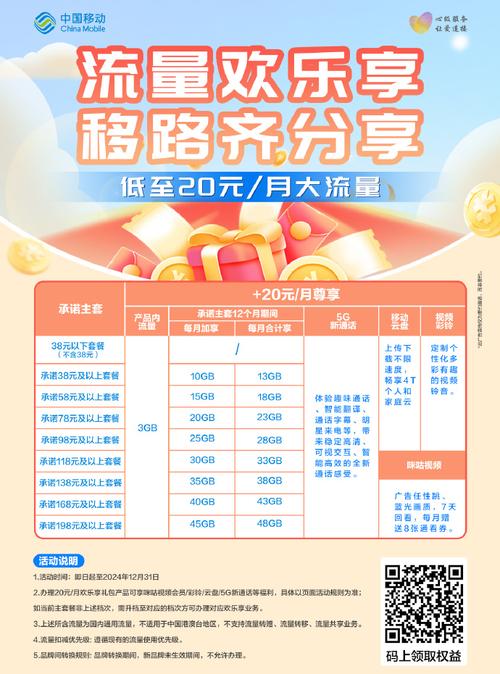 低至20元月大流量轻松get