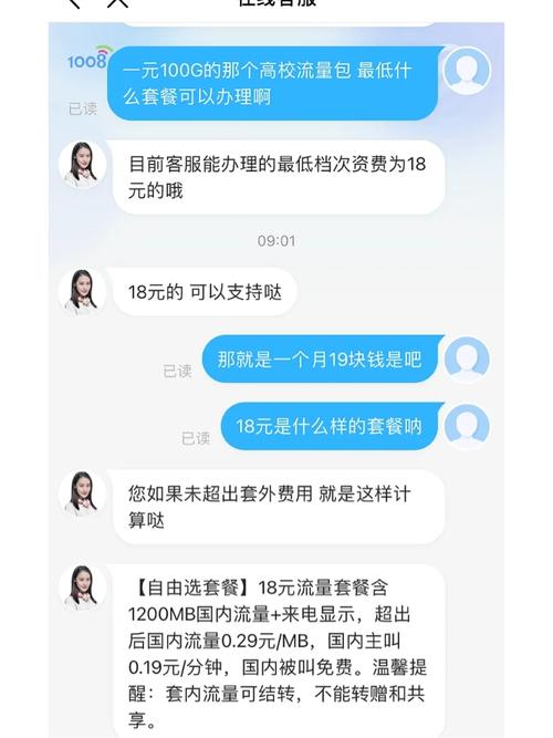 移动流量包1元100g