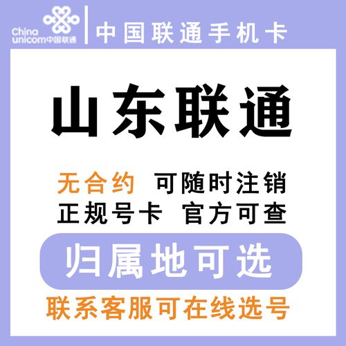 中国联通 山东济南青岛东营淄博潍坊菏泽济宁 低月租手机卡大王卡