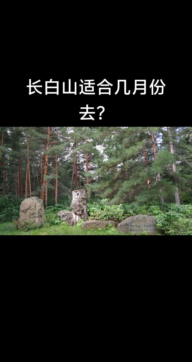 这篇给你整得明明白白