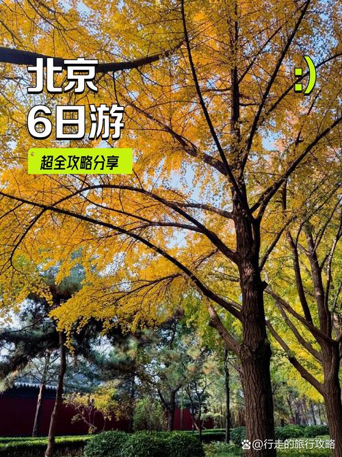 六天暴走北京攻略深度游 避坑指南全get