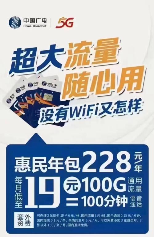 广电手机卡228包年每月100g流量100分钟通话