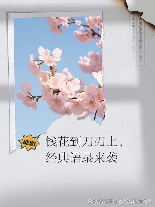 钱花到刀刃上经典语录来袭