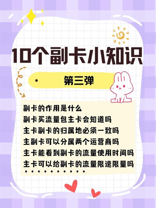 主卡能看到副卡的流量使用时间吗