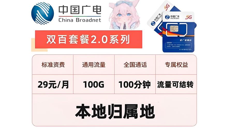 广电双百套餐